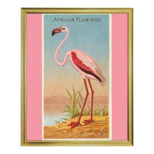 Classic Framed Art Prints